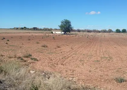 Finca rústica en venta en Daimiel en Daimiel