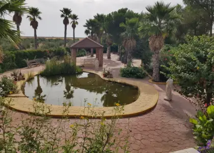 Finca rústica en venta en Santa Cruz de Mudela en Santa Cruz de Mudela