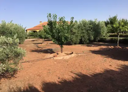 Finca Rústica en Villanueva De Los Infantes, Villanueva De Los Infantes en Villanueva de los Infantes