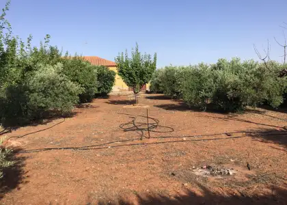 Finca Rústica en Villanueva De Los Infantes, Villanueva De Los Infantes en Villanueva de los Infantes