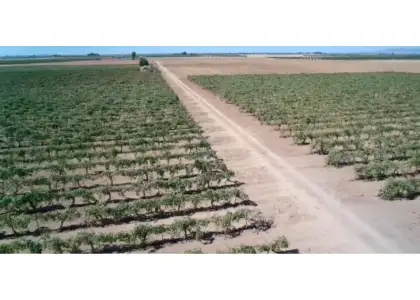 Terreno en venta en Manzanares en Manzanares
